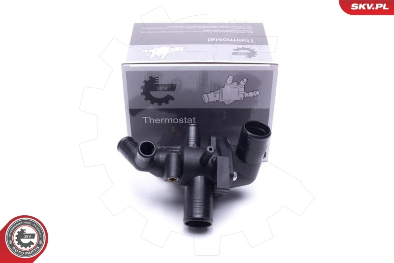 Thermostat, coolant